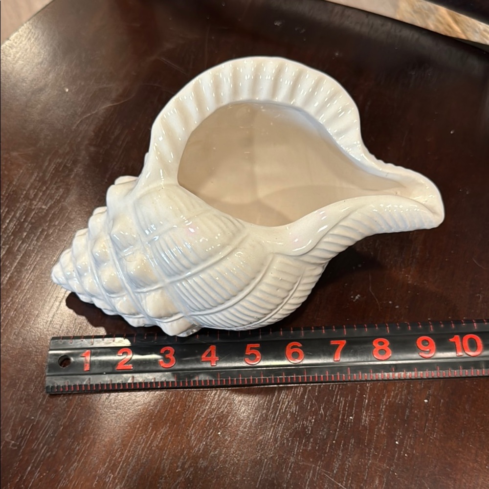 Coastal White Ceramic Shell B Decor
